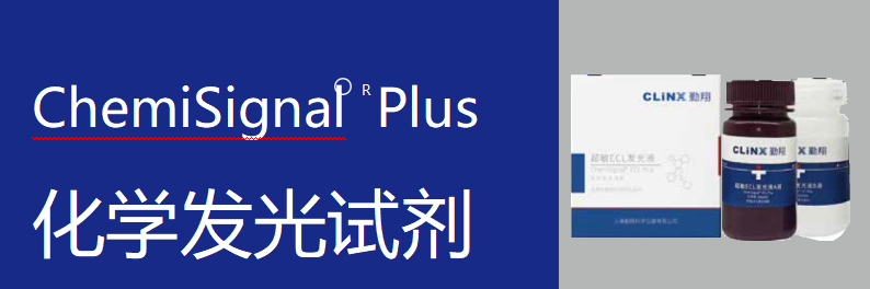 ChemiSignal Plus化学发光试剂.png